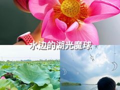 -白洋淀景区