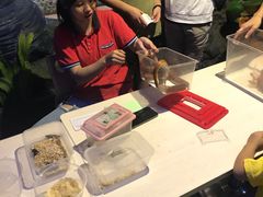-上海大自然野生昆虫馆(东方明珠·爬宠昆虫探索中心)
