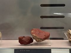 -中国地质博物馆
