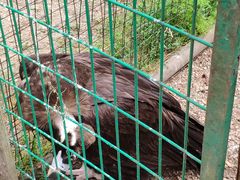 -日照海滨国家森林公园