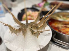 -新一哥粤菜火锅(瑞金店)
