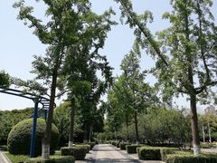 -荆川公园