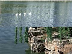 -迎泽公园