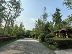 -黄兴公园