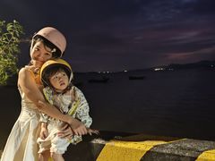 -汕尾风车岛
