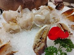 珍宝蟹-帝皇海海鲜豆捞(桐泾商务广场店)