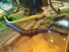 -大连森林动物园