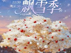 -金茂览秀城