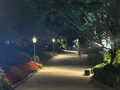 -金鸡山公园
