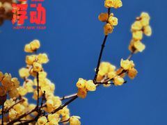 -龙美术馆西岸馆-停车场