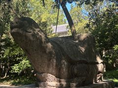 -灵谷景区