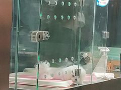 -FAELING PETS美天灵宠物(富力广场店)