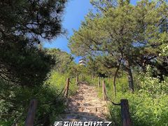 -北京十三陵国家森林公园蟒山景区