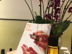 -Angkor SPA 柬埔寨古法按摩(环贸店)