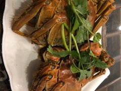 醉花雕太湖六月黄-呼吸森林·生态农庄农家乐私房菜