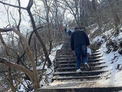 -紫金山山顶公园
