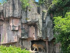 -长鹿旅游休博园