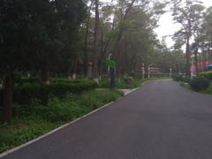 -顺鑫绿色度假村