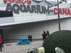 -瑞普利水族馆