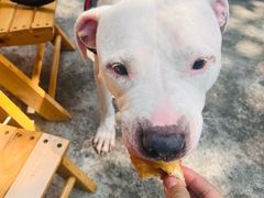 -水井拉粉油条(赤坎民国风情街店)
