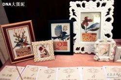 -DNA Wedding 婚礼记(上海店)