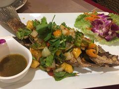 -Daddy Nimman Chiang Mai