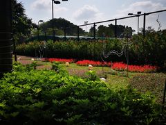 -观澜湖生态运动公社