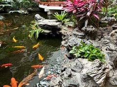 -白天鹅宾馆-宏图府餐厅