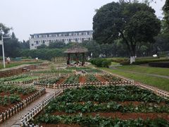 -天河儿童公园