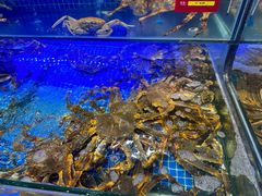 -驻海渔市(置信店)