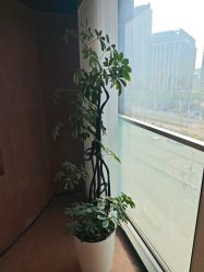 -上海时光整形外科医院