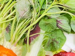 -菌乡缘·野生菌蒸汽鱼火锅(江边夜市店)