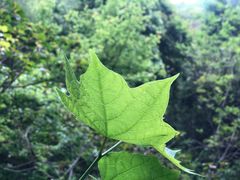 -宁波五龙潭景区