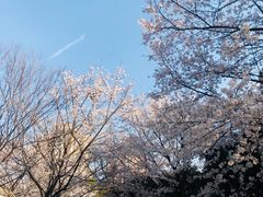 -上海体育场(地铁站)