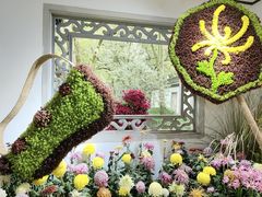 -杭州植物园