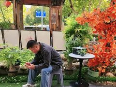 -后湖小院·乡野田园菜