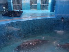 -青岛海底世界-水族馆