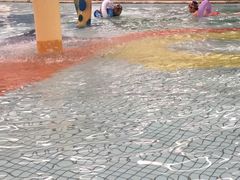 -南宫温泉水世界