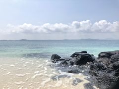 -涉地可支