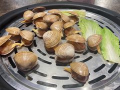 大黄蚬子-日进一片海.生腌海鲜火锅.宵夜烧烤(三里屯总店)