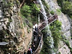 -鹿院坪生态旅游景区