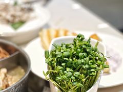 -浩爷羊蝎子火锅(望京店)