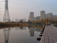 -永定河休闲森林公园