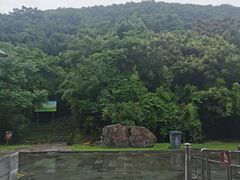 -金钉子远古世界景区