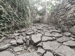 -井塘古村