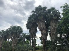 -福建鲤鱼洲酒店