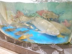 -AEON永旺(东方宝泰店)