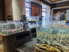 -许家菜(望江店)