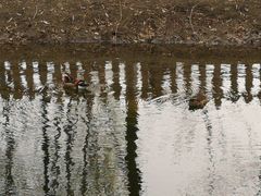 -东升八家郊野公园