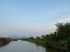 -芒洲湿地公园